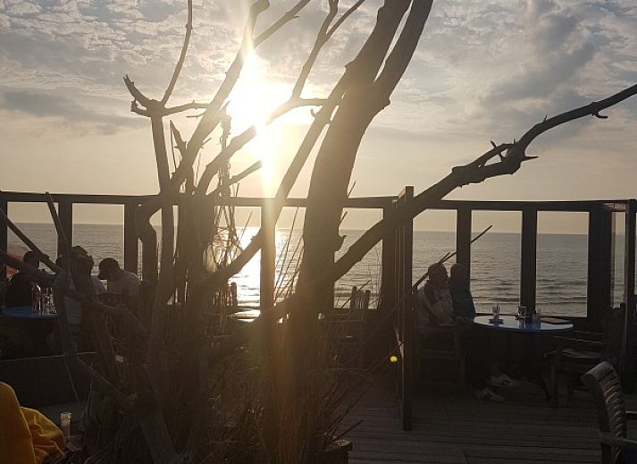 Terras van vakantiehuis De Anemoon in De Koog, Texel. Ruime buitenruimte met tuinmeubilair en bloeiende planten.