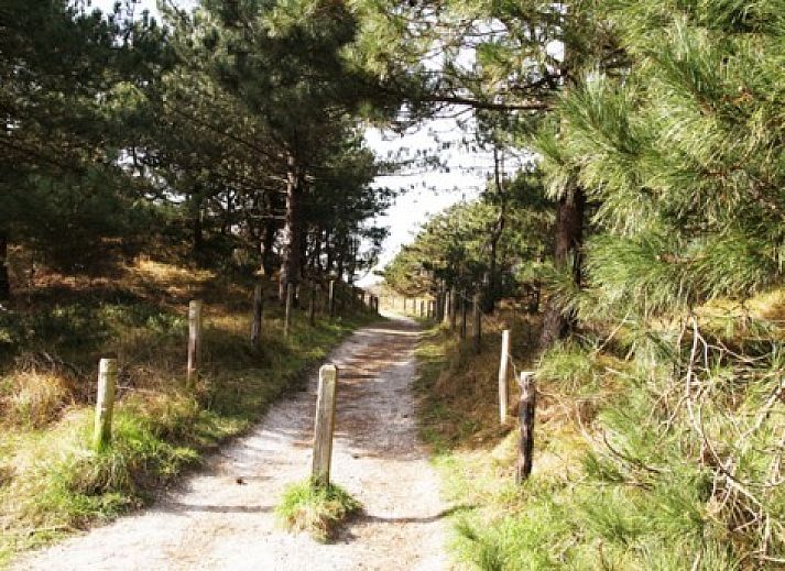 Gezellige woonkamer van De kemphaan: Vakantiehuis Texel in De Koog, met comfortabele zitruimte en houtkachel.