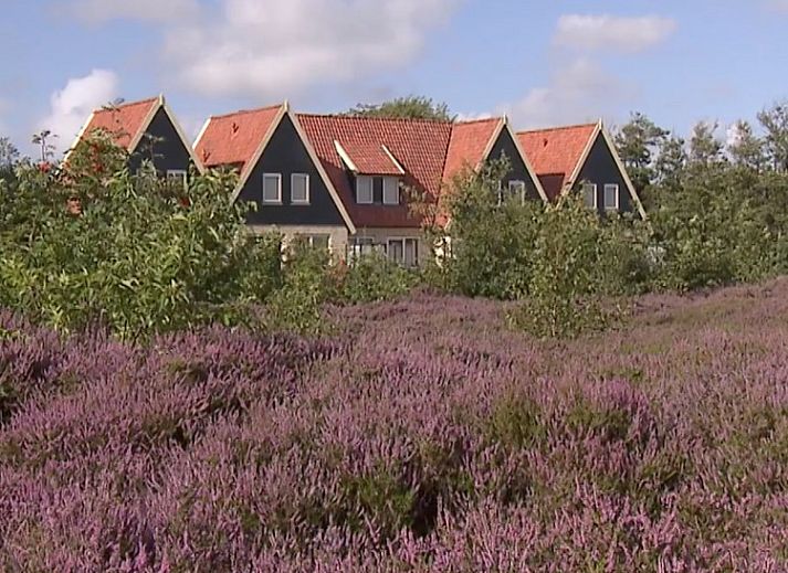 Landleven 4/5 pers. comfortabel vakantiehuis in De Koog, Texel, met uitzicht op de groene omgeving van de Waddeneilanden.