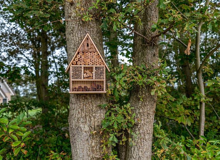 Geniet van de groene tuin en het zonnige terras bij vakantiehuis Grutto 16 in De Koog, Texel, ideaal voor ontspanning in de natuur.