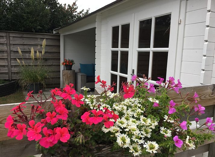 Gemuetliches Wohnzimmer im Ferienhaus Jutter, De Koog, Texel mit Blick auf die Natur.