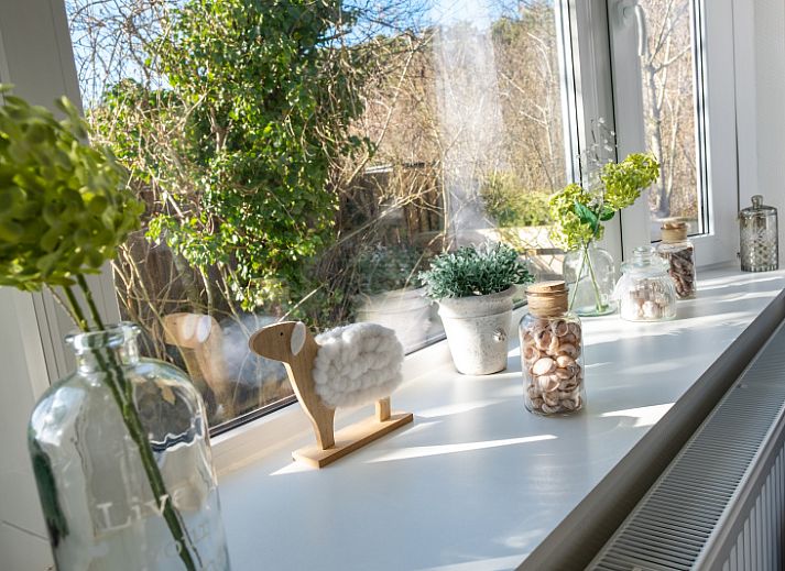 Ingang van Chalet Bregkoog 207 in De Koog, Texel met groen gras.