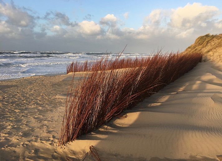 Gezellige woonkamer in Stappeland - De Groene Boei, vakantiehuis op Texel, met comfortabele banken en open haard.