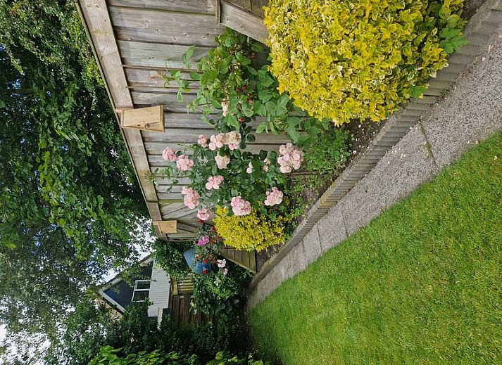 Vakantiehuis Zeelucht in De Koog, Texel met ruime tuin en terras voor ontspanning.