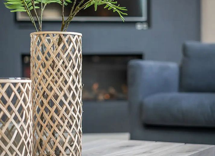 Guest house 0102510 - Holiday property Texel - Luxe Familievilla 1-6 personen