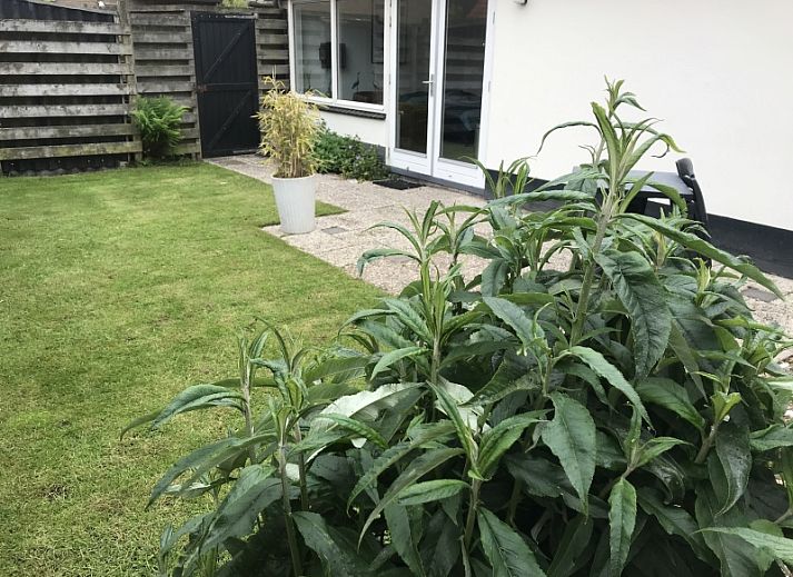 Gezellig terras bij Studio Ooster - Brink 28, De Koog, Texel, vakantieaccommodatie met tuin.