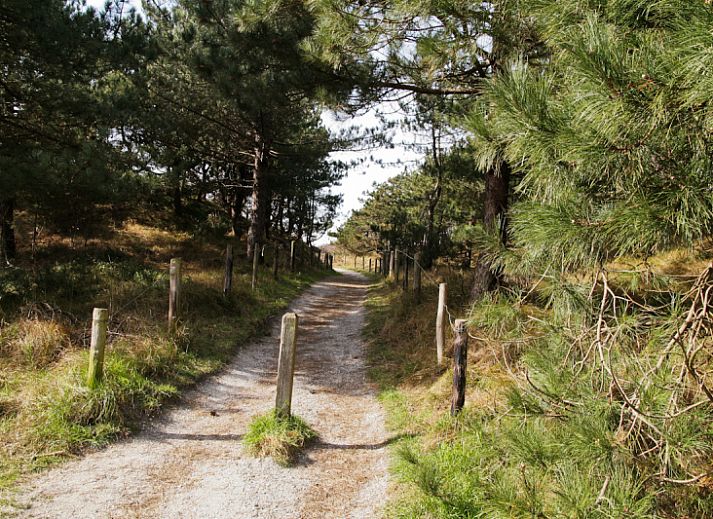 Verblijf 010253 - Vakantiewoning Texel - Stappeland - De Kemphaan