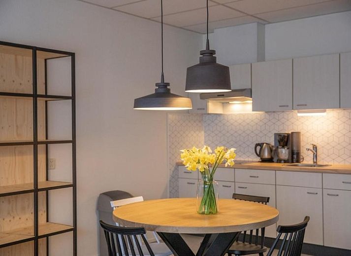 Gemuetliches Wohnzimmer im Appartement 4 Personen, De Koog, Texel, mit moderner Einrichtung und bequemer Sitzecke.