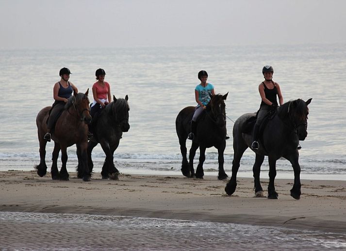 Eetkamer en zithoek in 6-pers. Vakantiehuis met Sauna in De Koog, Texel, Waddeneilanden.