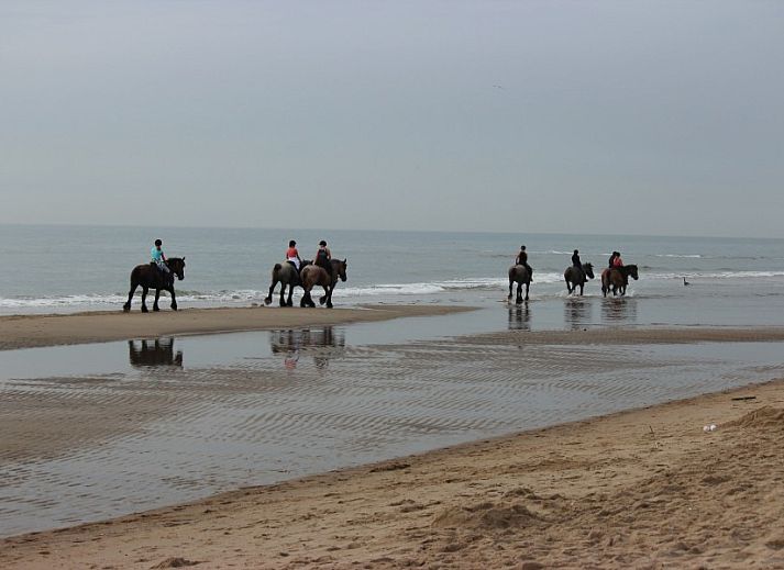 Lichte woonruimte met houtkachel in 6-pers. Vakantiehuis met Sauna in De Koog, Texel, Waddeneilanden.