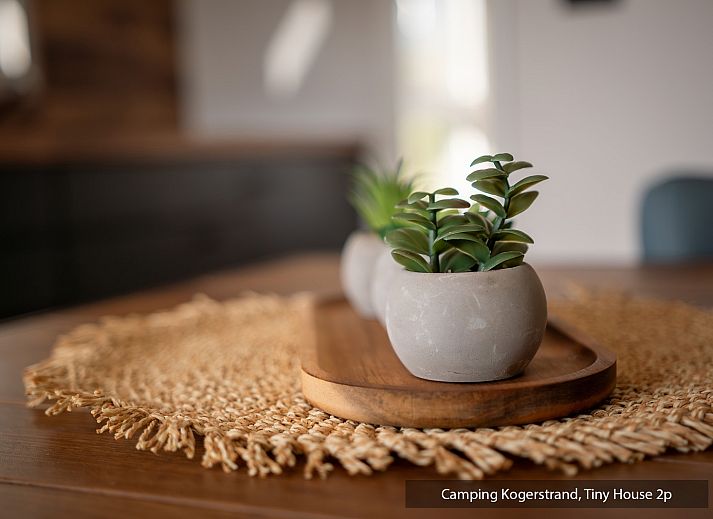 Guest house 010263 - Holiday property Texel - Tiny House