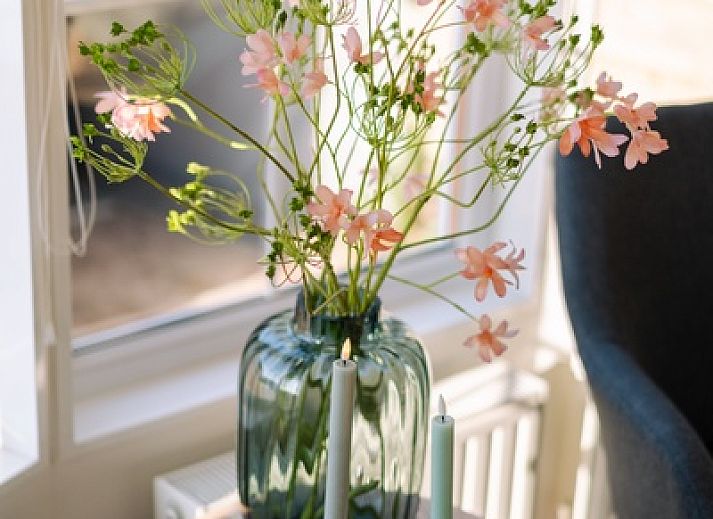 Chalet Bregkoog 24 in De Koog, Texel met een zonnige veranda en groene omgeving.