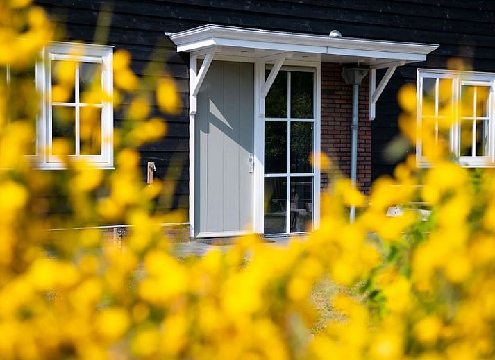 Ferienhaeuser Residence Rustiek in De Koog, Texel, umgeben von gruener Natur