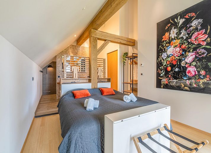 Guest house 0102790 - Holiday property Texel - Villa Buytenplaats 187