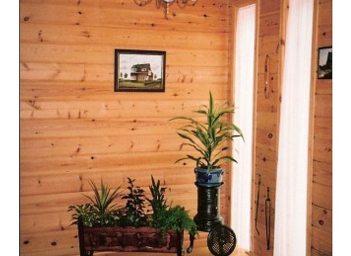 Charmant exterieur van pension Pol, bed and breakfast in De Koog, Texel met uitnodigend terras en bloeiende tuin.