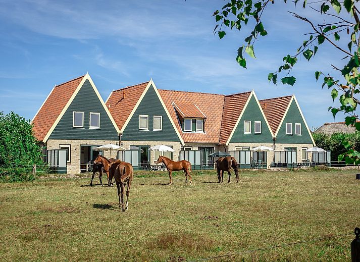 Unterkunft 0102973 - Ferienhaus Texel - Landleven vakantiehuis 83