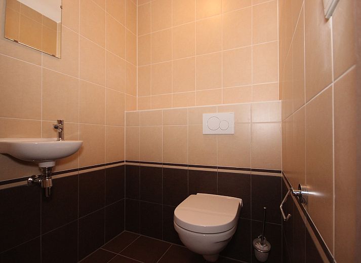 Guest house 0102974 - Holiday property Texel - Landleven Villa 170m2 73
