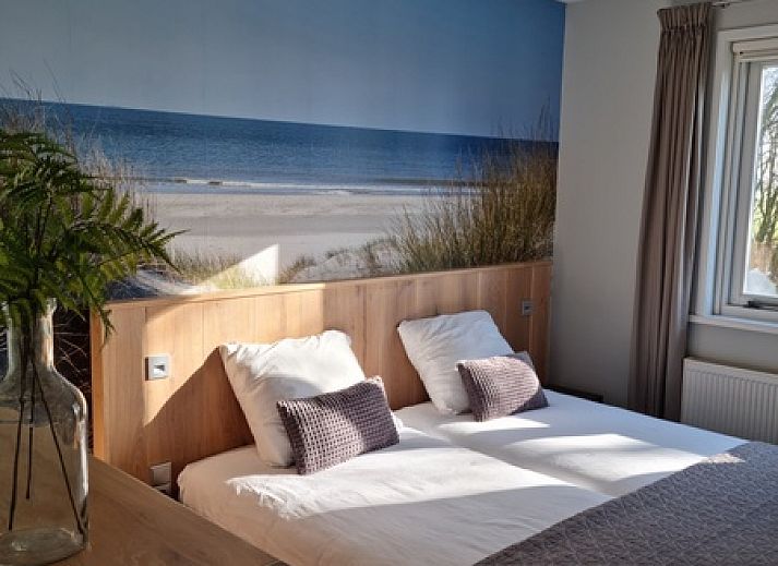 Variant vakantiehuis in De Waal, Texel met terras en kleurrijke bloemen.