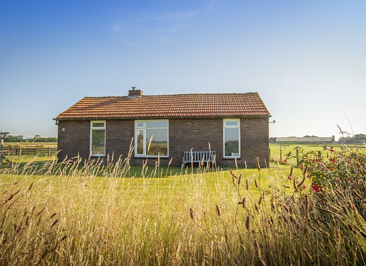 Unterkunft 010331 • Ferienhaus Texel • Huisje Schiller - 4883 