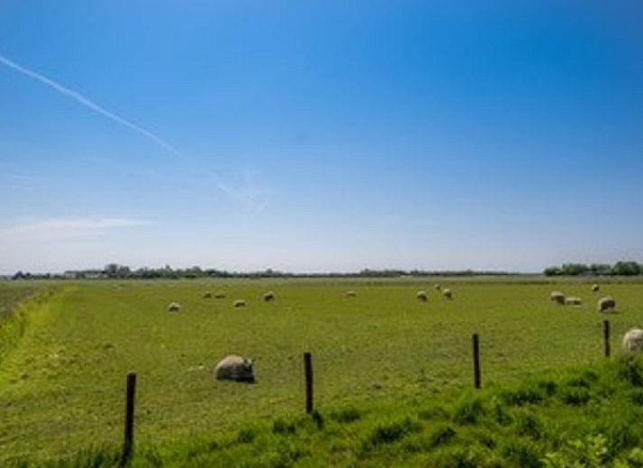Fully equipped kitchen in Cottage in De Waal, Texel with modern appliances and views.