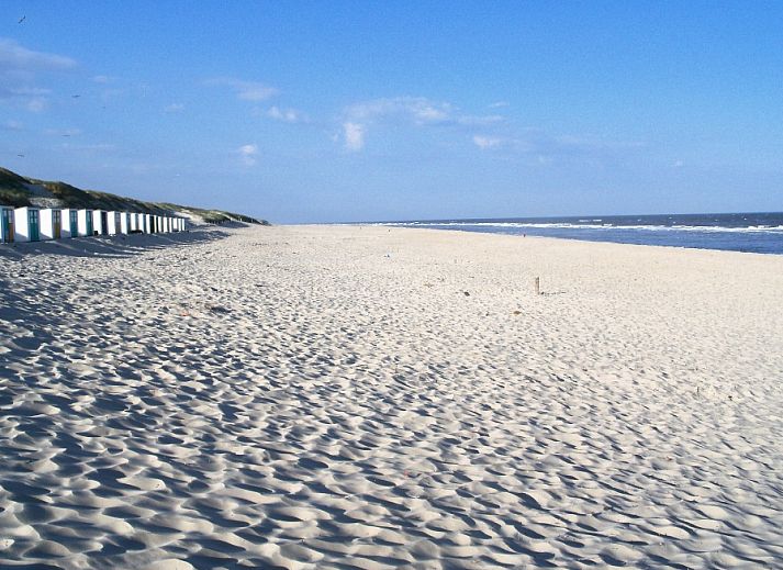 Guest house 010356 - Holiday property Texel - Huisje TOR 10 test