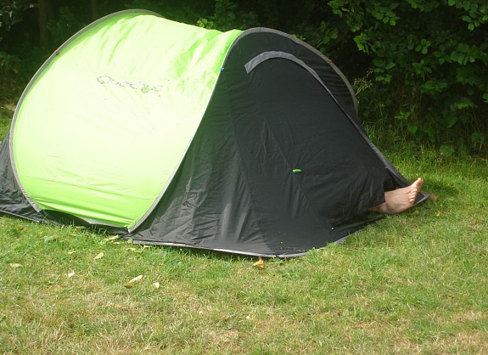 Unterkunft 010375 - Ferienhaus Texel - Camping de Waal