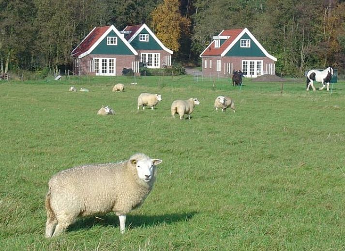 Verblijf 010405 • Vakantiewoning Texel • 0983 in Den Burg