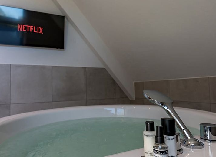 Unterkunft 0104100 - Ferienhaus Texel - Vakantiehuisje in Den Burg