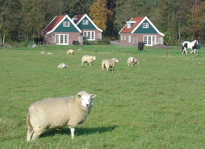 Verblijf 0104116 • Vakantiewoning Texel • Vakantiehuisje in Den Burg 