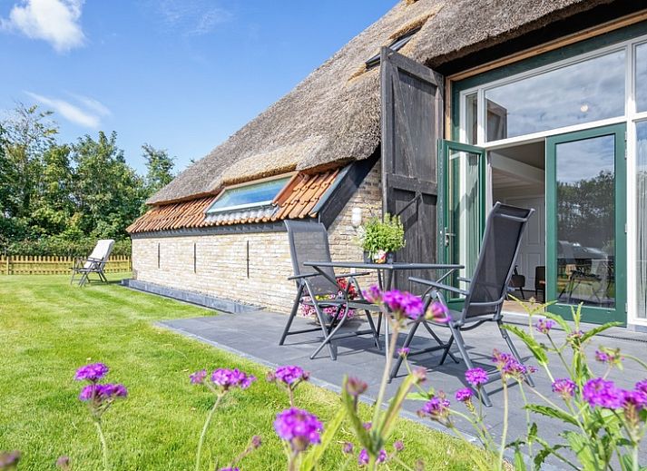 Ferienhaus Het Schaap in Den Burg, Texel mit Reetdach und Sonnenterrasse.
