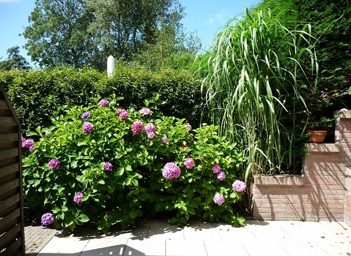Cozy garden at family Smit bungalow in Den Burg, Texel, with colorful flowers and green hedges.