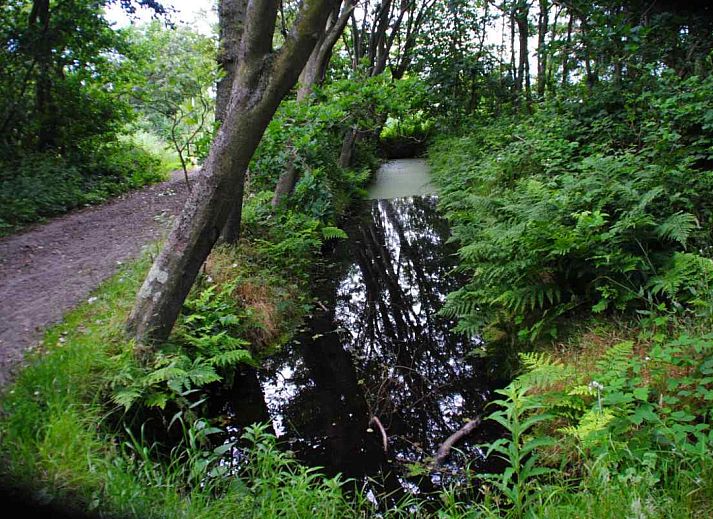 Unterkunft 0104159 - Ferienhaus Texel - NH010