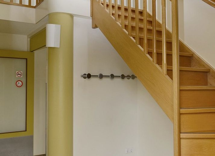 Guest house 0104737 - Holiday property Texel - Vakantiewoning - Molenhuizen rolstoeltoegankelijk