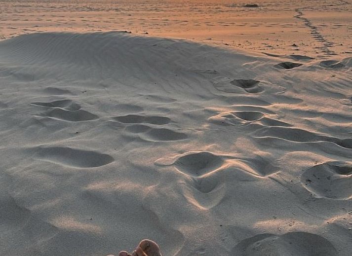 Interior space of Wulpenweid 12 A Lammetje in De Dennen, Texel with comfortable seating area.