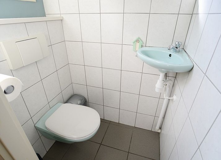 Rustikales Ferienhaus De Boet in Den Hoorn, Texel, umgeben von viel Gruen und einem gemuetlichen Aussenbereich.