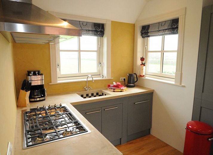 Vacation home Sonja in Den Hoorn, Texel surrounded by nature and reeds.