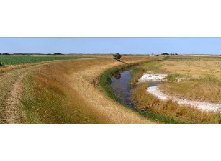 Gemuetliches Wohnzimmer in Alexanderhoeve, Den Hoorn Texel, mit bequemen Sofas und offener Kueche fuer einen heimeligen Aufenthalt auf den Watteninseln.