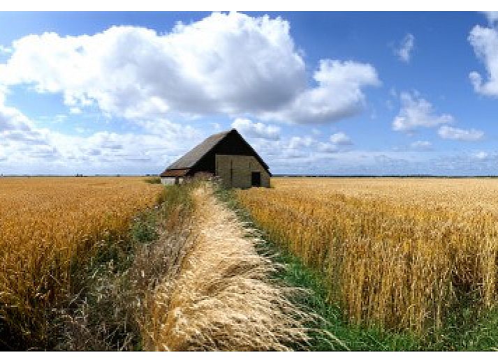 Gemuetliches Wohnzimmer in Alexanderhoeve, Den Hoorn Texel, mit bequemen Sofas und offener Kueche fuer einen heimeligen Aufenthalt auf den Watteninseln.