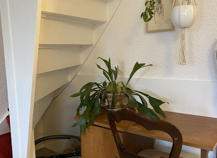 Klif 1 Wohnung 1, Terrasse mit Blick auf gruene Felder in Den Hoorn Texel, Ferienunterkunft.