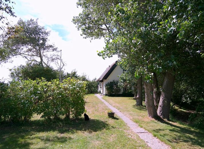 Guest house 0105102 - Holiday property Texel - Nieuwegrachtje