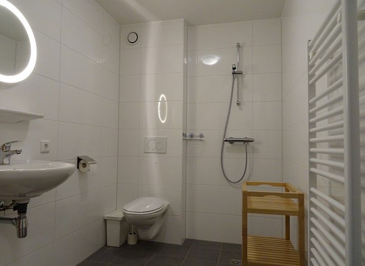 Das Ferienhaus Vigilant in Den Hoorn, Texel, mit Reetdach und gruener Fassade, ideal fuer einen entspannten Aufenthalt auf den Watteninseln.