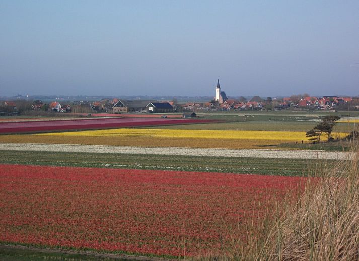 Sonnige Terrasse von De Vigilant in Den Hoorn, Texel, mit stilvollen Sitzgelegenheiten, ideal fuer einen entspannten Urlaub auf den Watteninseln.