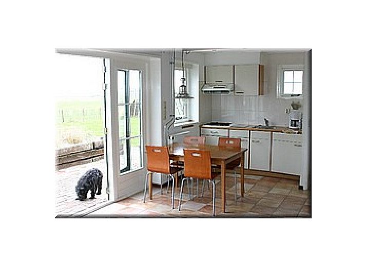 Malerisches Aeusseres von De Ark, Ferienhaus in Den Hoorn, Texel mit gruenen Fassaden.