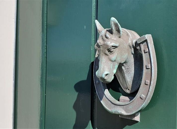 Guest house 010518 - Holiday property Texel - 't Wambuis