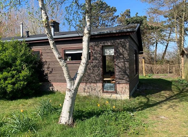 Cottage in Den Hoorn, Texel, vacation home with wooden facade and green surroundings.