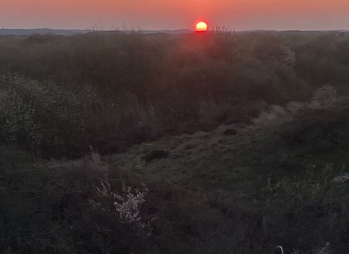 Cozy indoor area with fireplace in Cottage in Den Hoorn, Texel, vacation home.