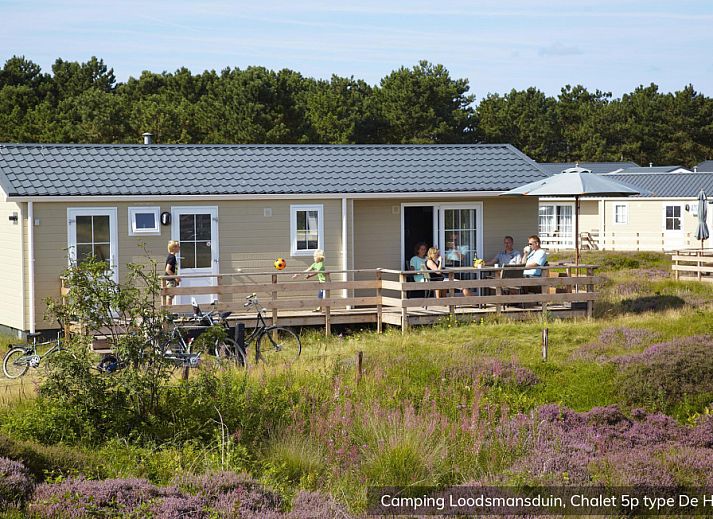 Verblijf 010538 • Vakantiewoning Texel • Chalet Hors 5p
