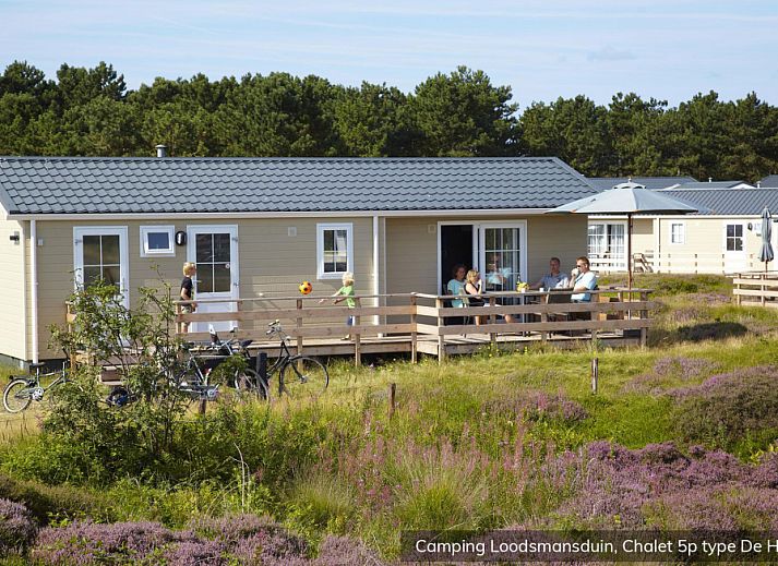 Guest house 010538 • Holiday property Texel • Chalet Hors 5p 