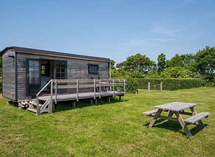 Guest house 010540 • Holiday property Texel • Johanneshoeve - Pipowagen 