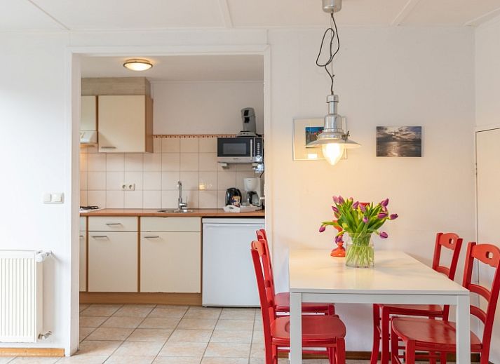 Arendsnest vakantiehuis in Den Hoorn Texel met zonnige tuin en terras, ideaal voor ontspanning op de Waddeneilanden.